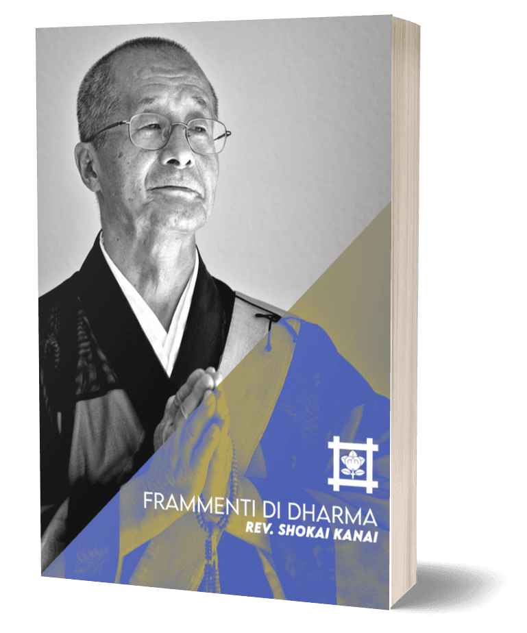 Copertina di Frammenti di Dharma