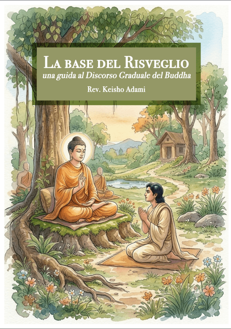 La base del risveglio