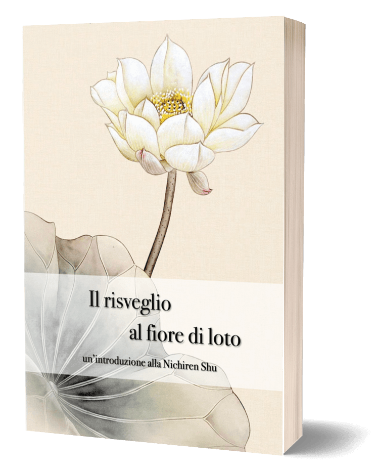 Copertina di Il risveglio al fiore di loto